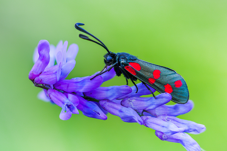 2018-07-10_14-33-11_M_B_R_8_S_4_