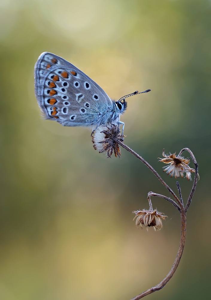 2020-08-21_00-11-40_B_Radius6_Smoothing10_