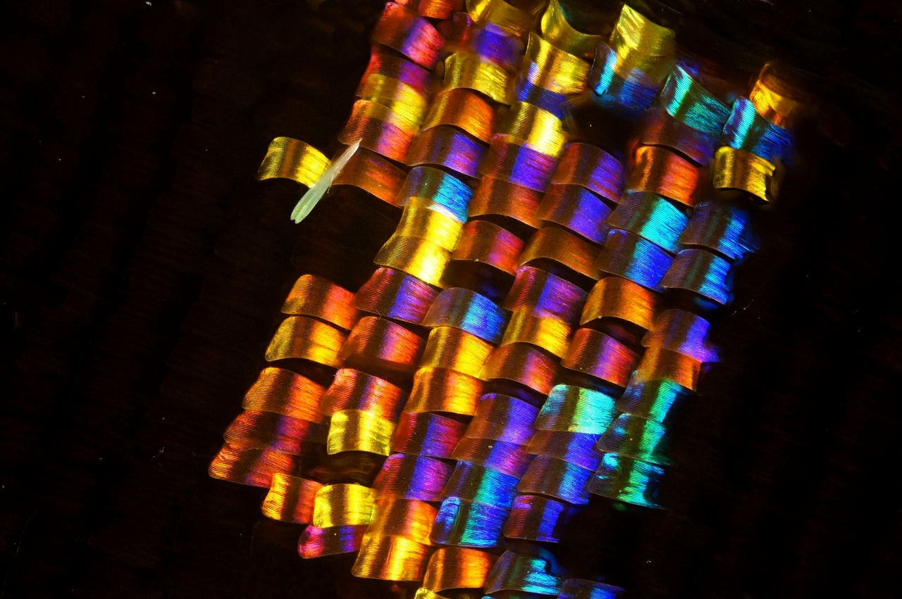 2021-04-03_21-21-01_M_B_R_8_S_4_23_5_