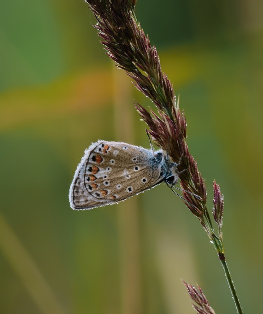 2022-01-01_12-21-23_A_Radius8_Smoothing4_211