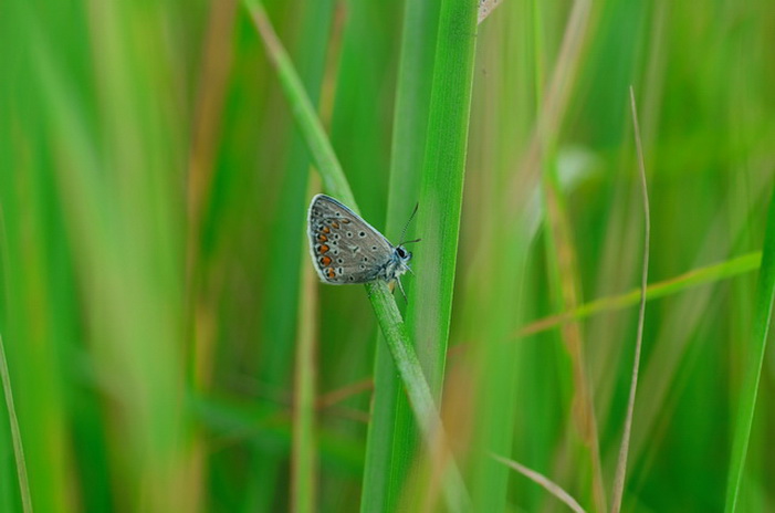 2022-01-01_13-30-37_A_Radius8_Smoothing4_166_