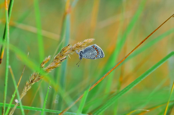 2022-01-01_14-09-38_A_Radius8_Smoothing466_