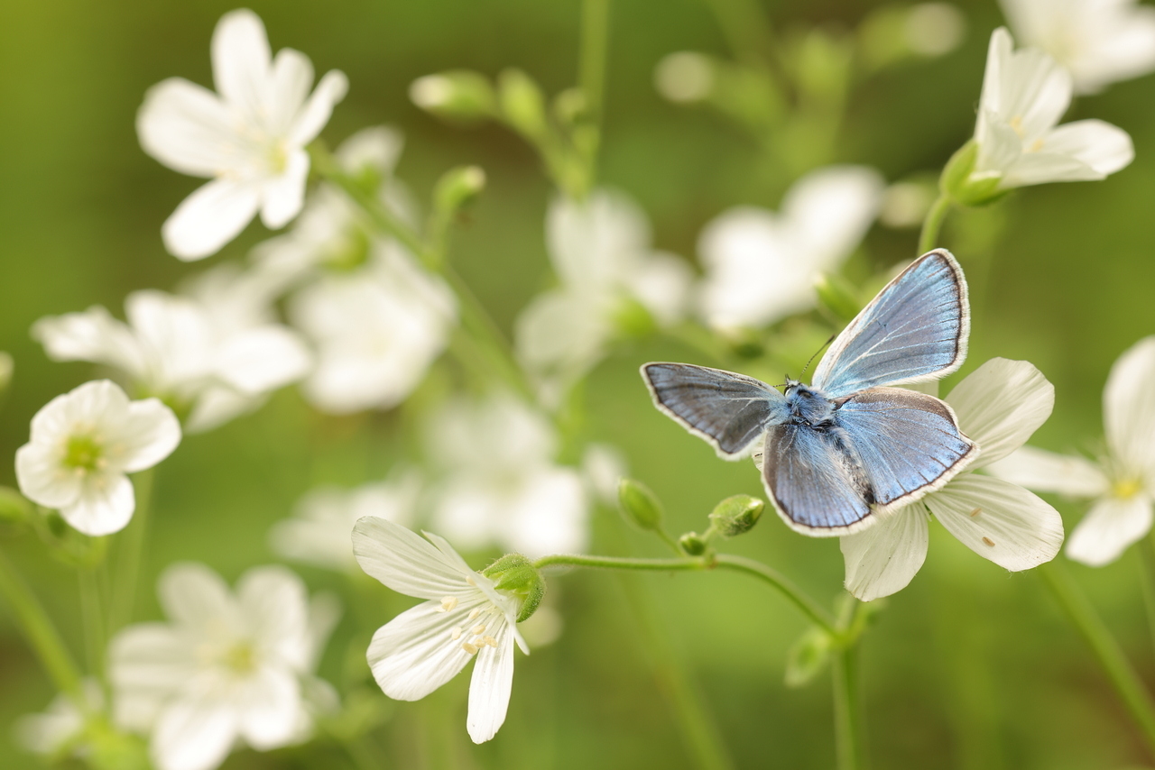 2022-06-02_22-12-08_B_Radius8_Smoothing4_