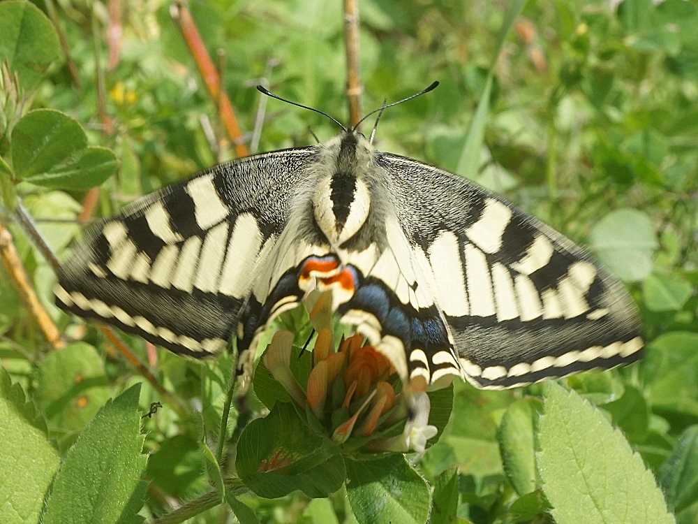 430081260_3635877326625342_7113535569307521197_n