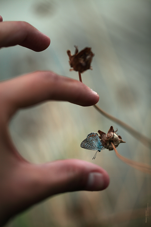 777_Aaaaaah_l_n_s_77