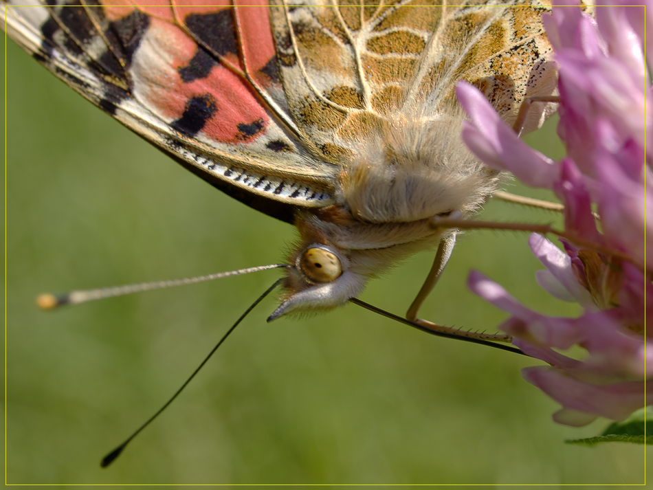 8202485_279_filtered_