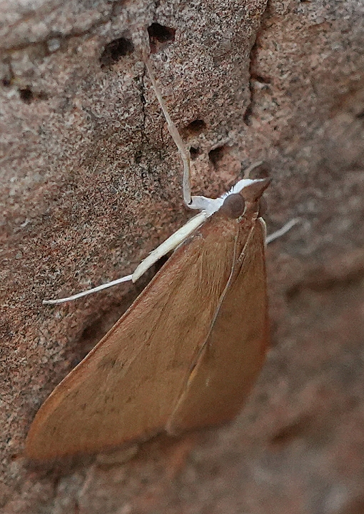 DSC01026c