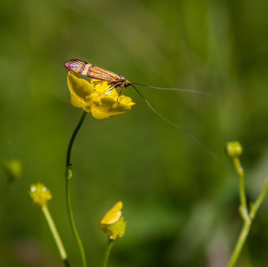 IMG-8976--_-_-_-2-_850