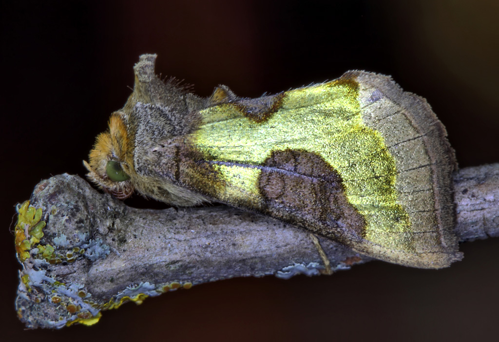 IMG_355_5_6_7_easyHDR-PRO-2