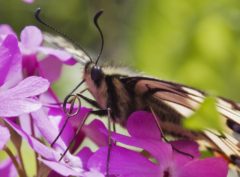 MG_7829_2434_2_Resize