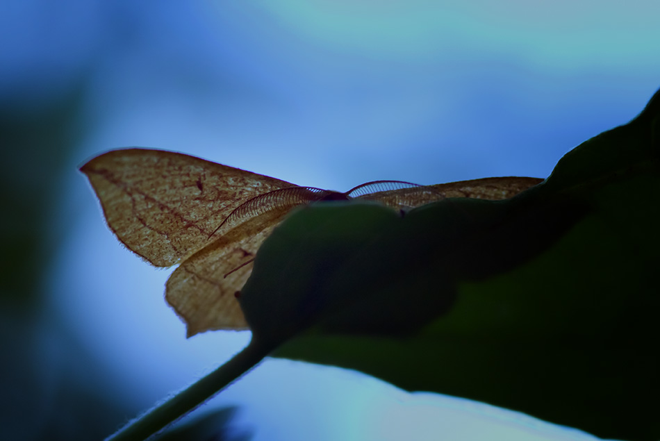 P1280342