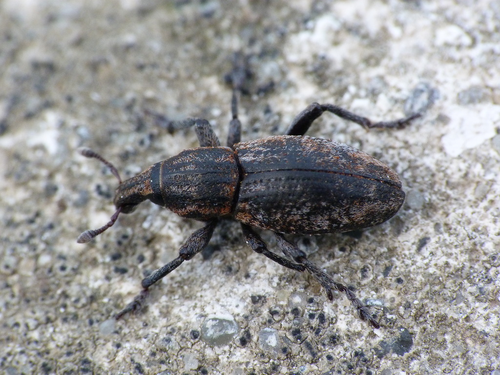 0_67240_c1cd71f0_XXL