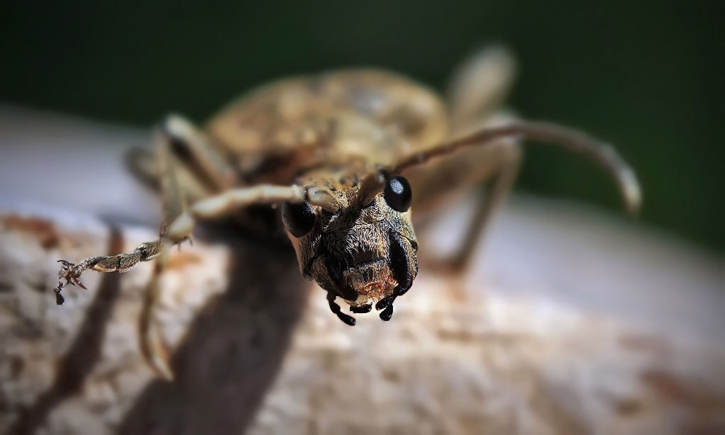 0_89cc6_9c5b8def_XXL-1_