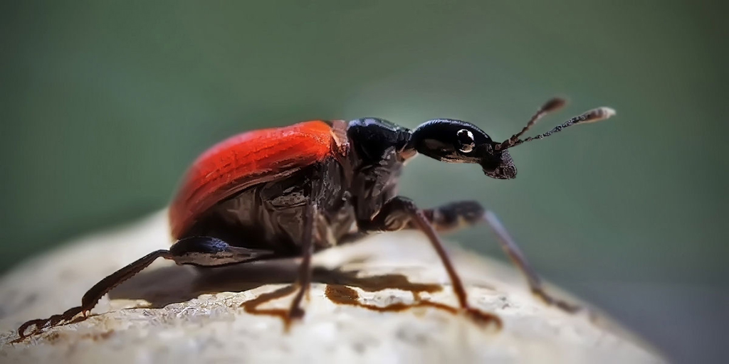 0_986f0_7b989958_XXXL-1_