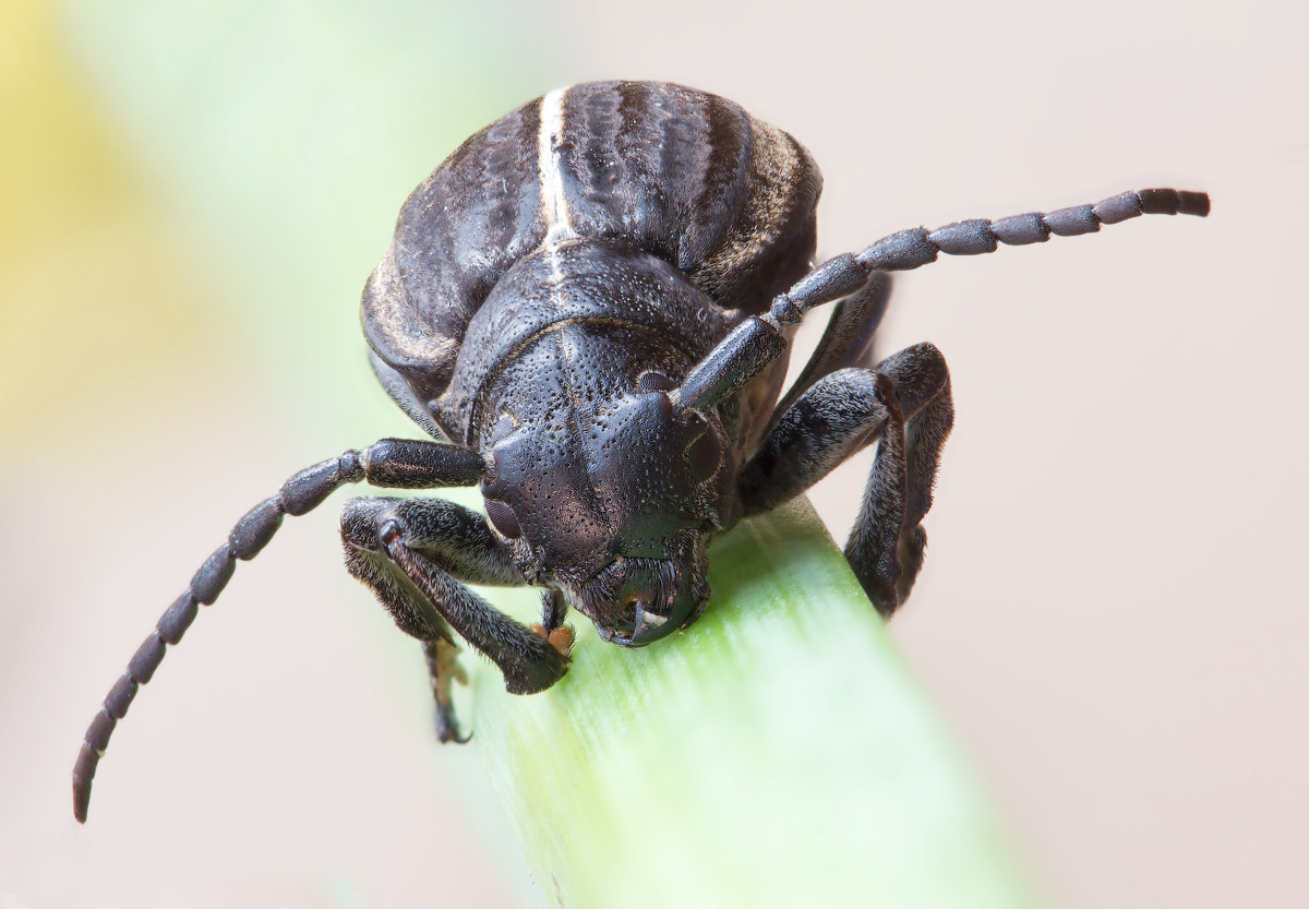 12-04-19_074050_M_A_R_8_S_4