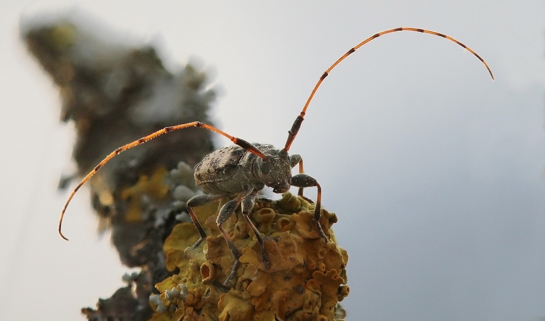 12-05-11_204156_M_B_R_8_S_4_-_