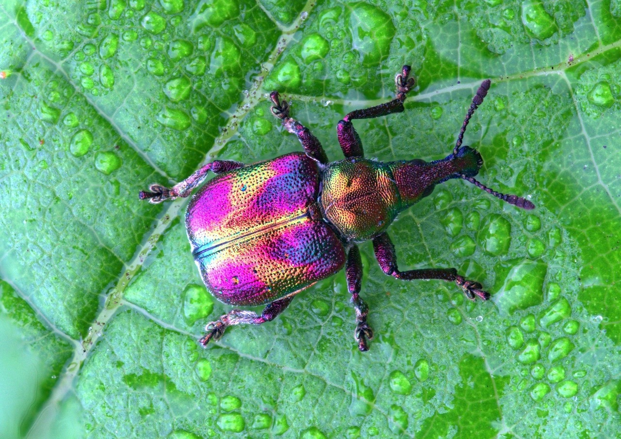 2015-06-14_19-25-52_M_B_R_8_S_4