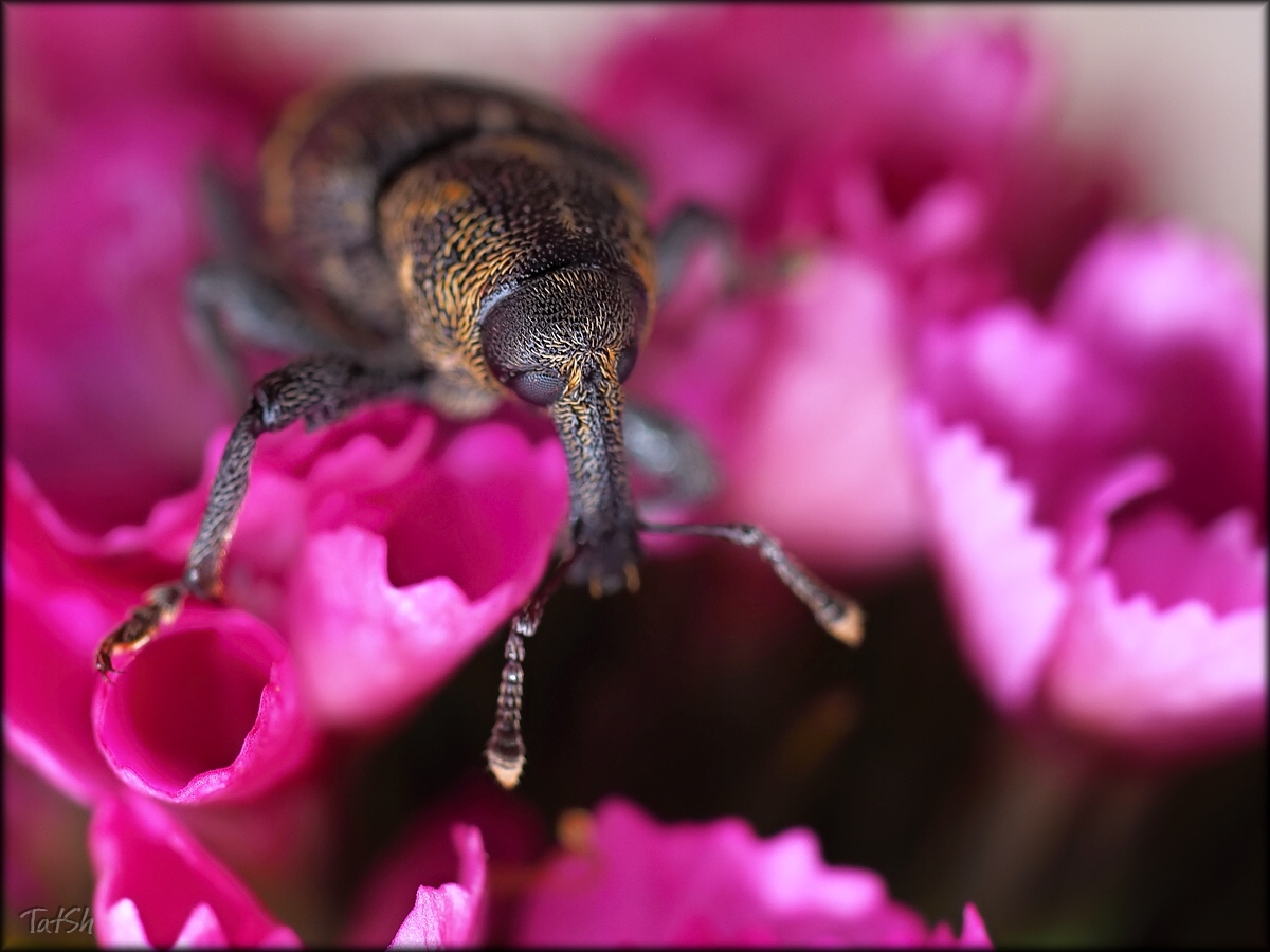 2015-06-25_09-28-08_