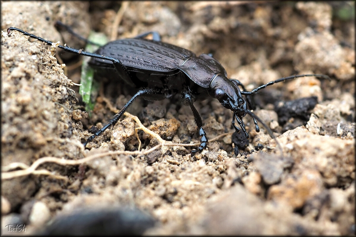 2015-09-03_10-24-19_