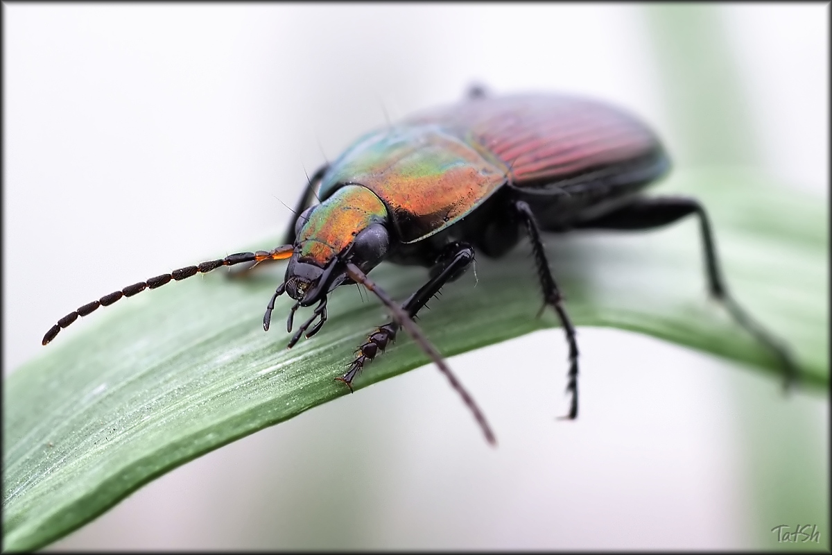 2015-09-20_16-20-24_