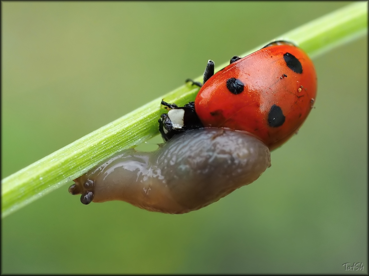 2016-06-03_16-48-04_