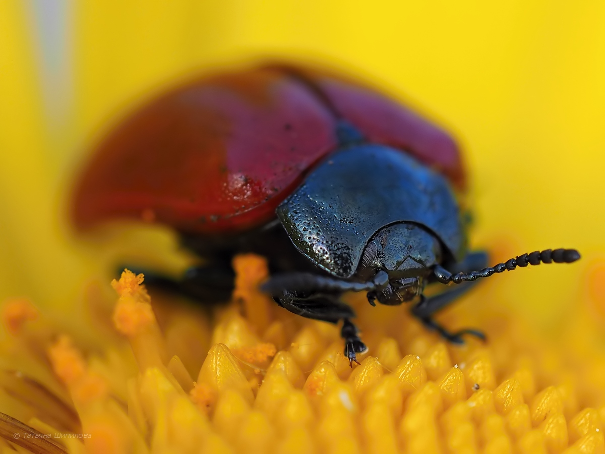 2017-05-28_17-34-35_4