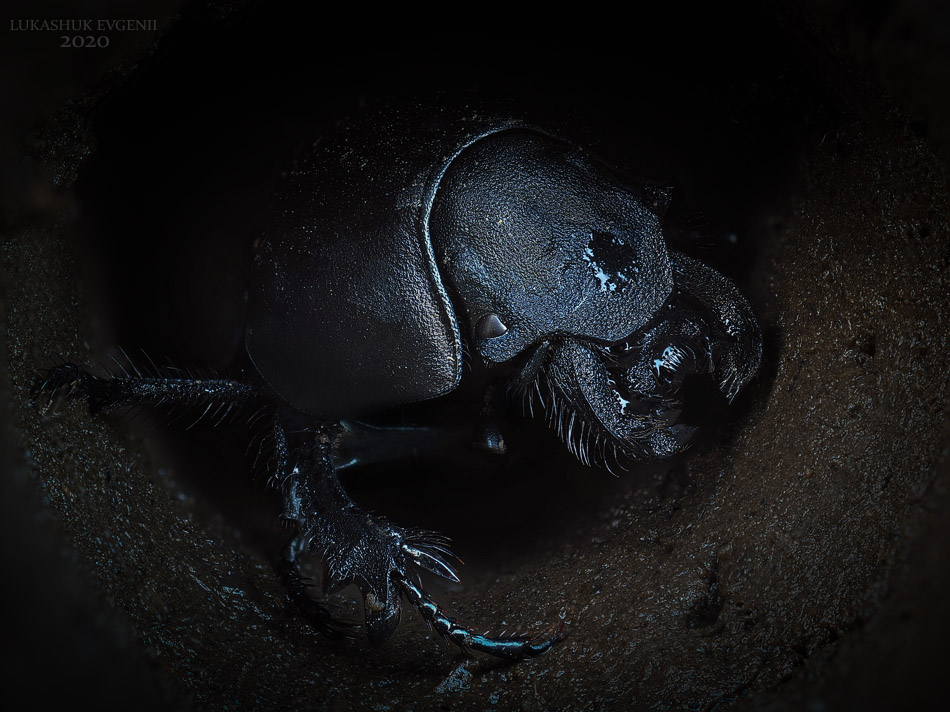 2020-04-18_20-53-14_M_A_R_20_S_1