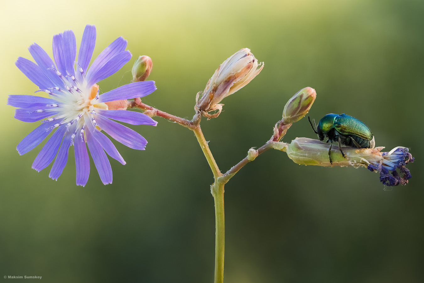 2020-06-28-21-17-17-_B_Radius6_Smoothing10_