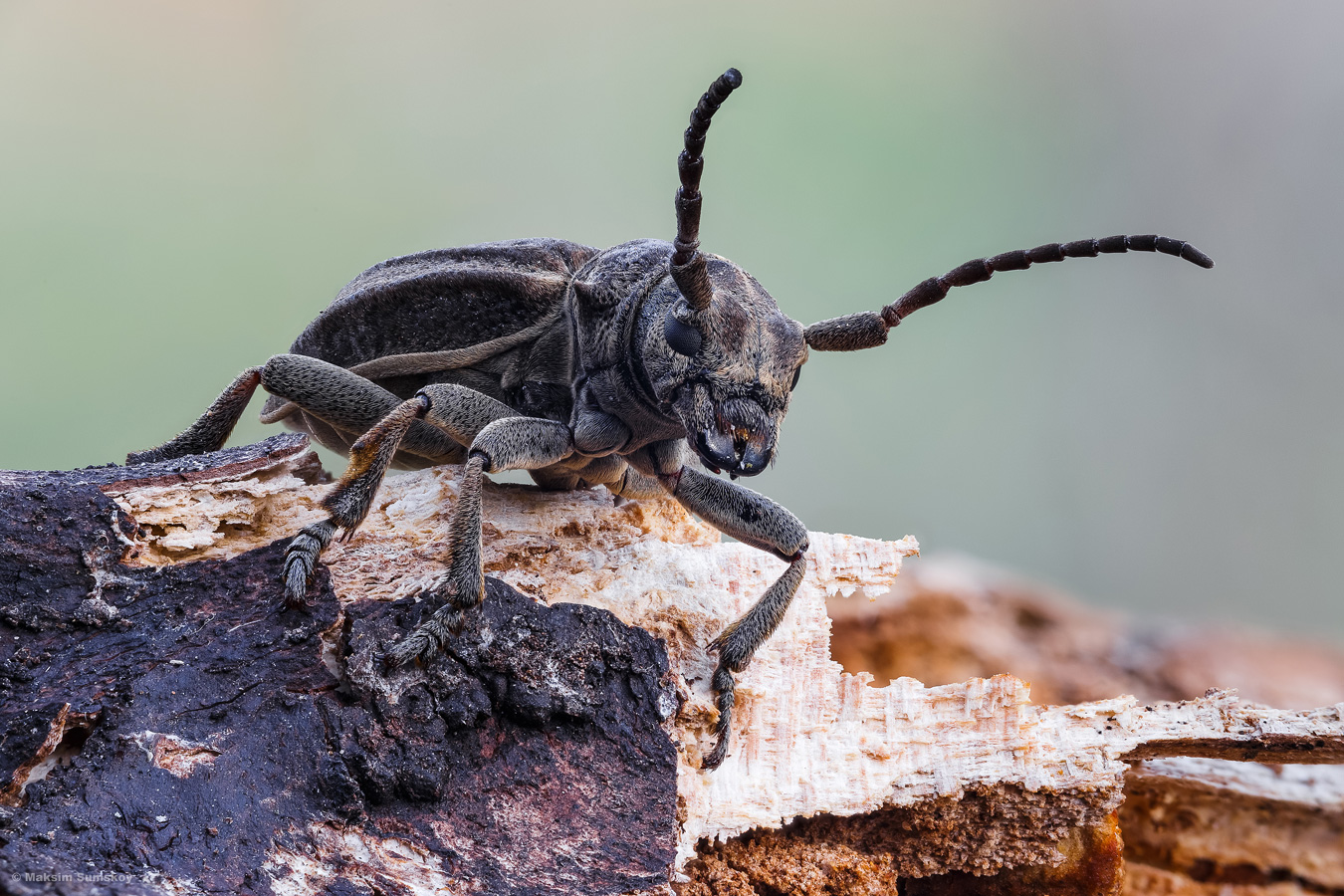 2021-04-17-22-02-52-_B_Radius6_Smoothing10_