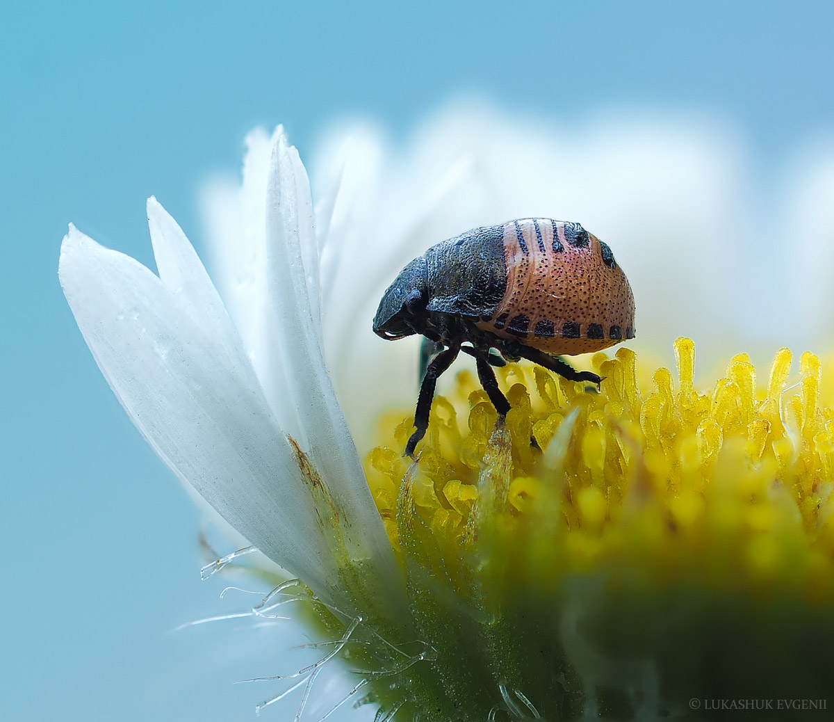 2021-06-22_15-55-15_M_A_R_9_S_2