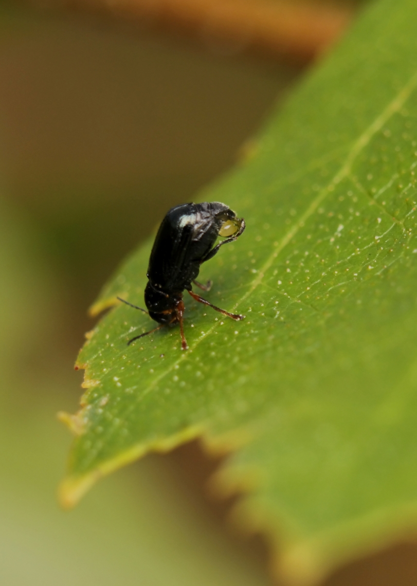 44444444444444444444444