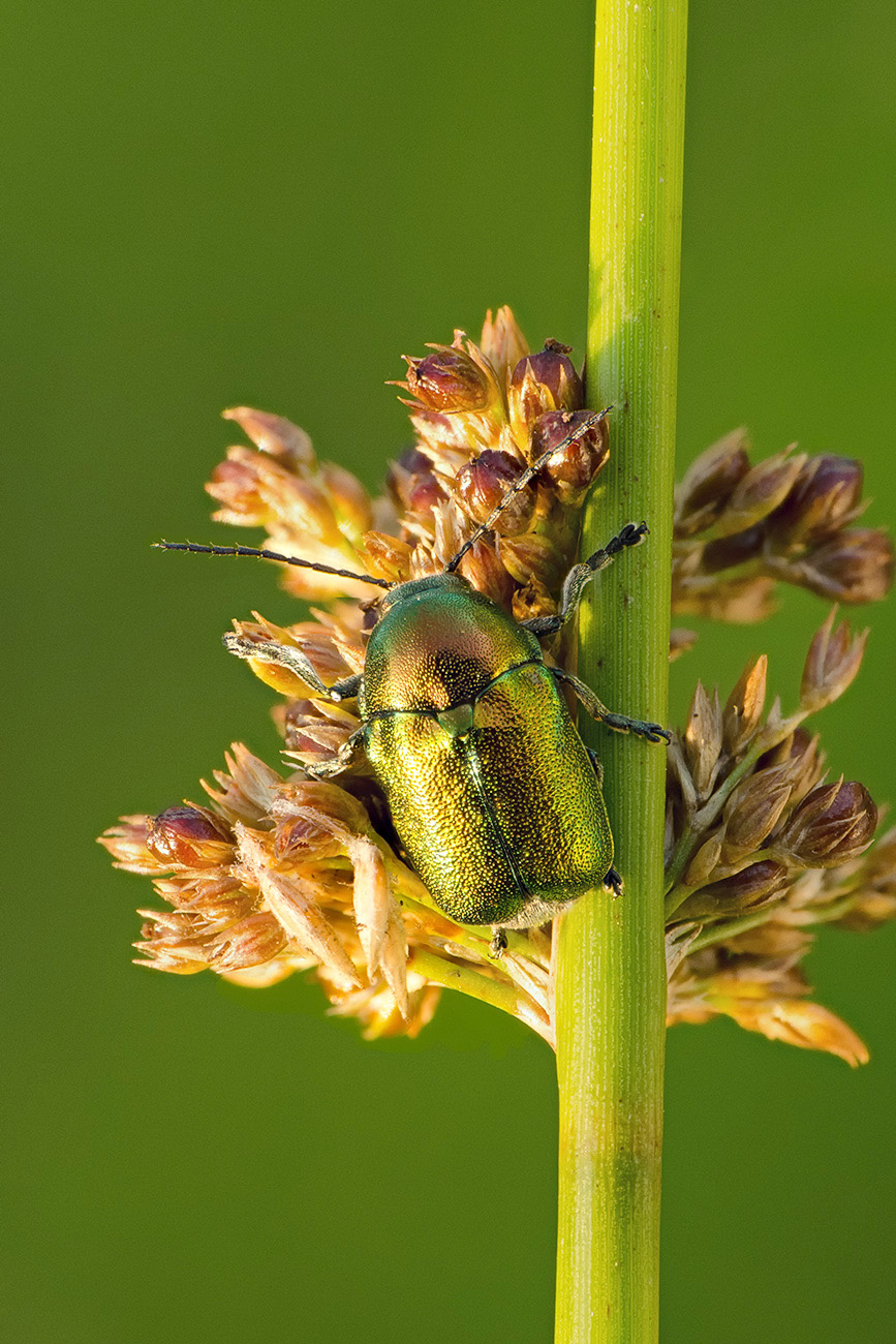 DSC_0224-0245_resize