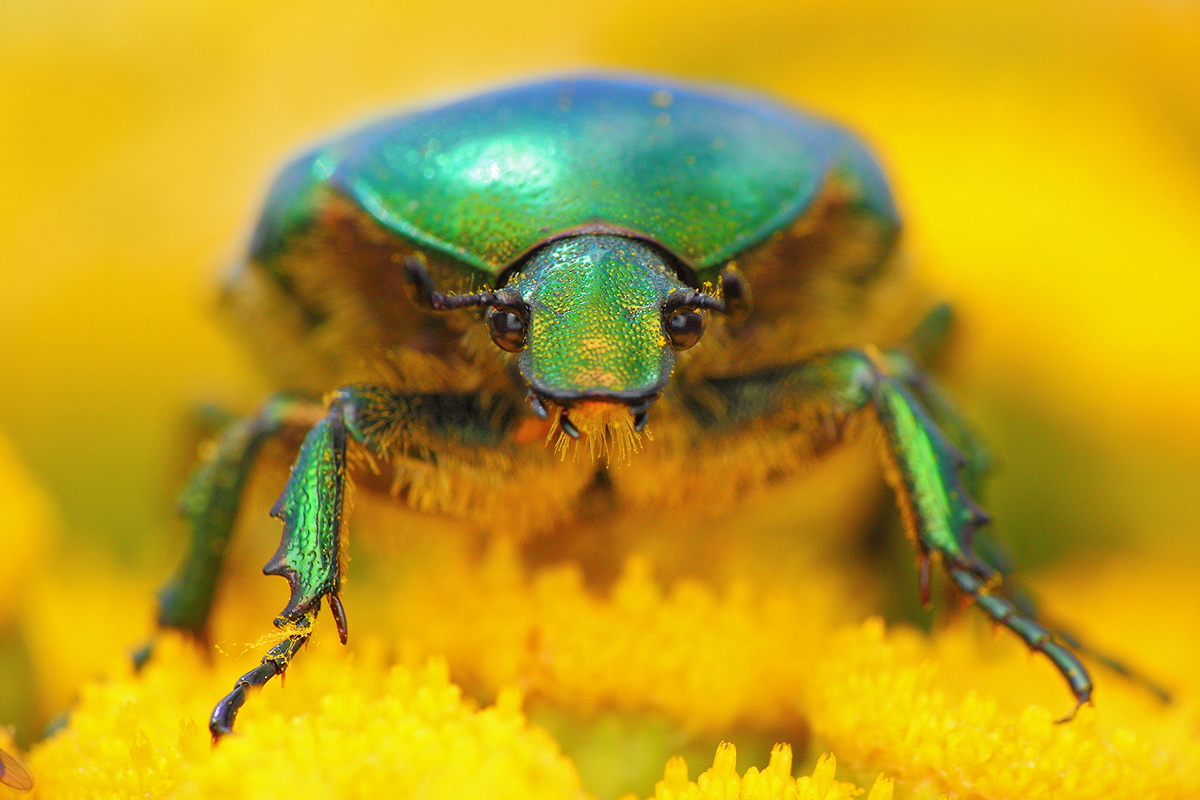 IMG_7062_cr1_copy_copyM