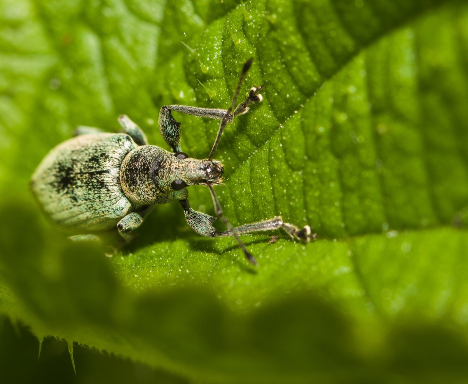 IMG_7910-1_1024x768_