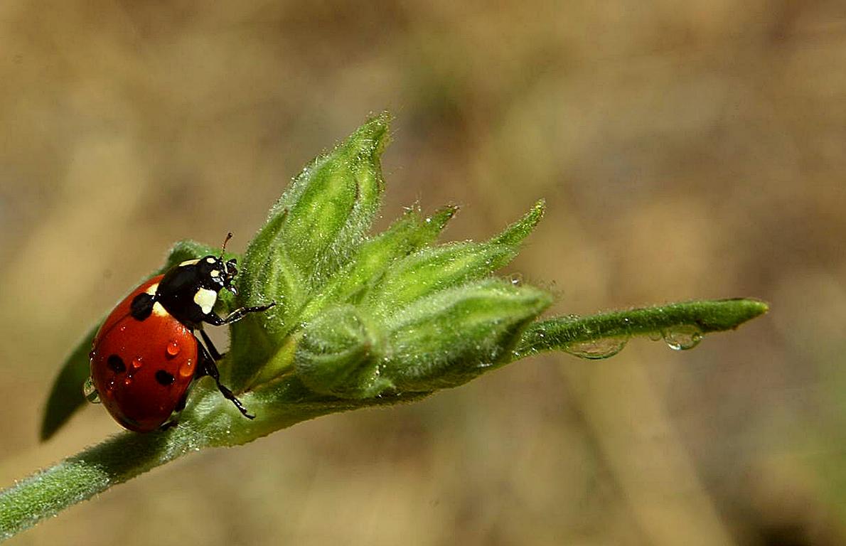 K1024_K1600_DSC_0627_