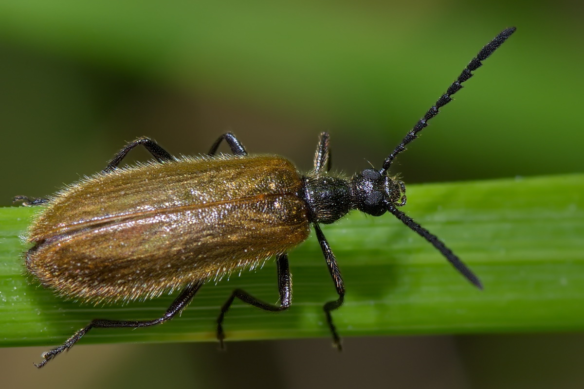 post-735102-1437316132