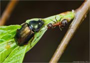 0-DSC_5046.jpg