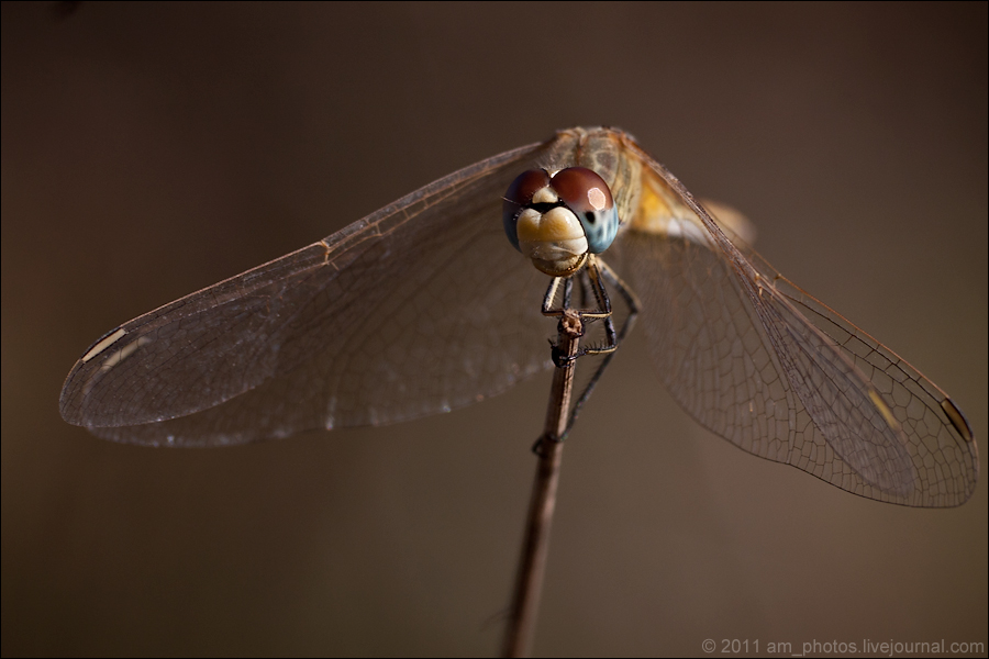 0_63411_80b4b5bc_orig