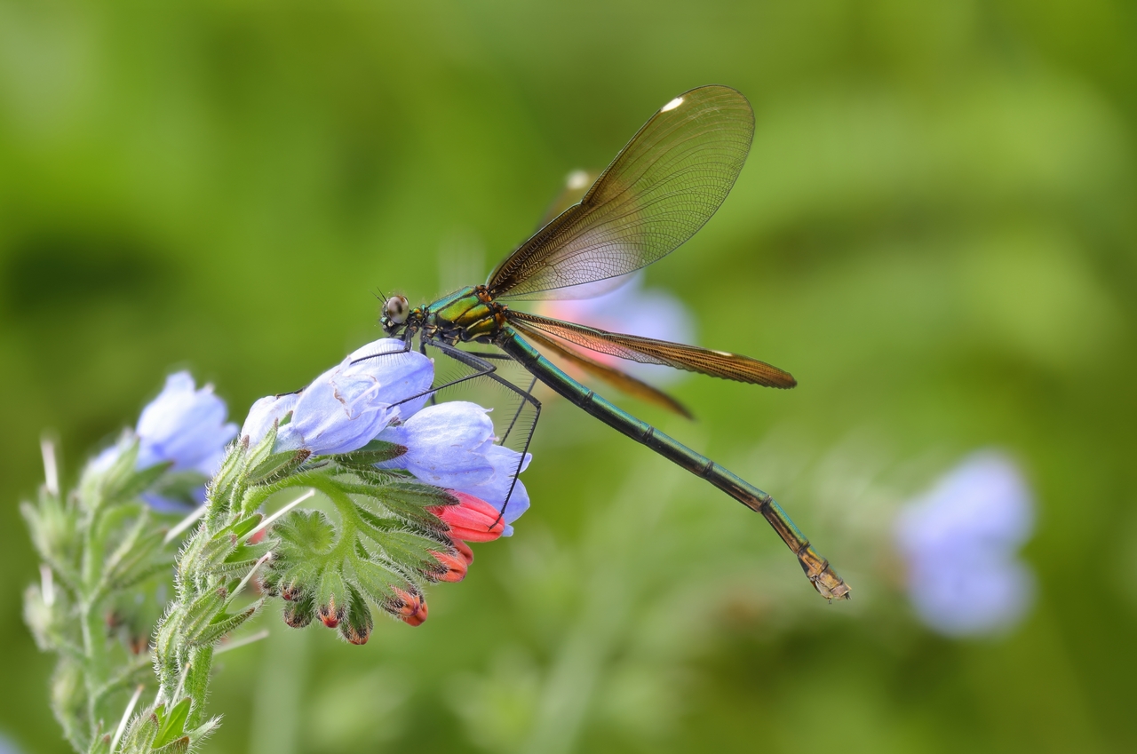 2016-06-14_23-49-59_M_A_R_22_S_4