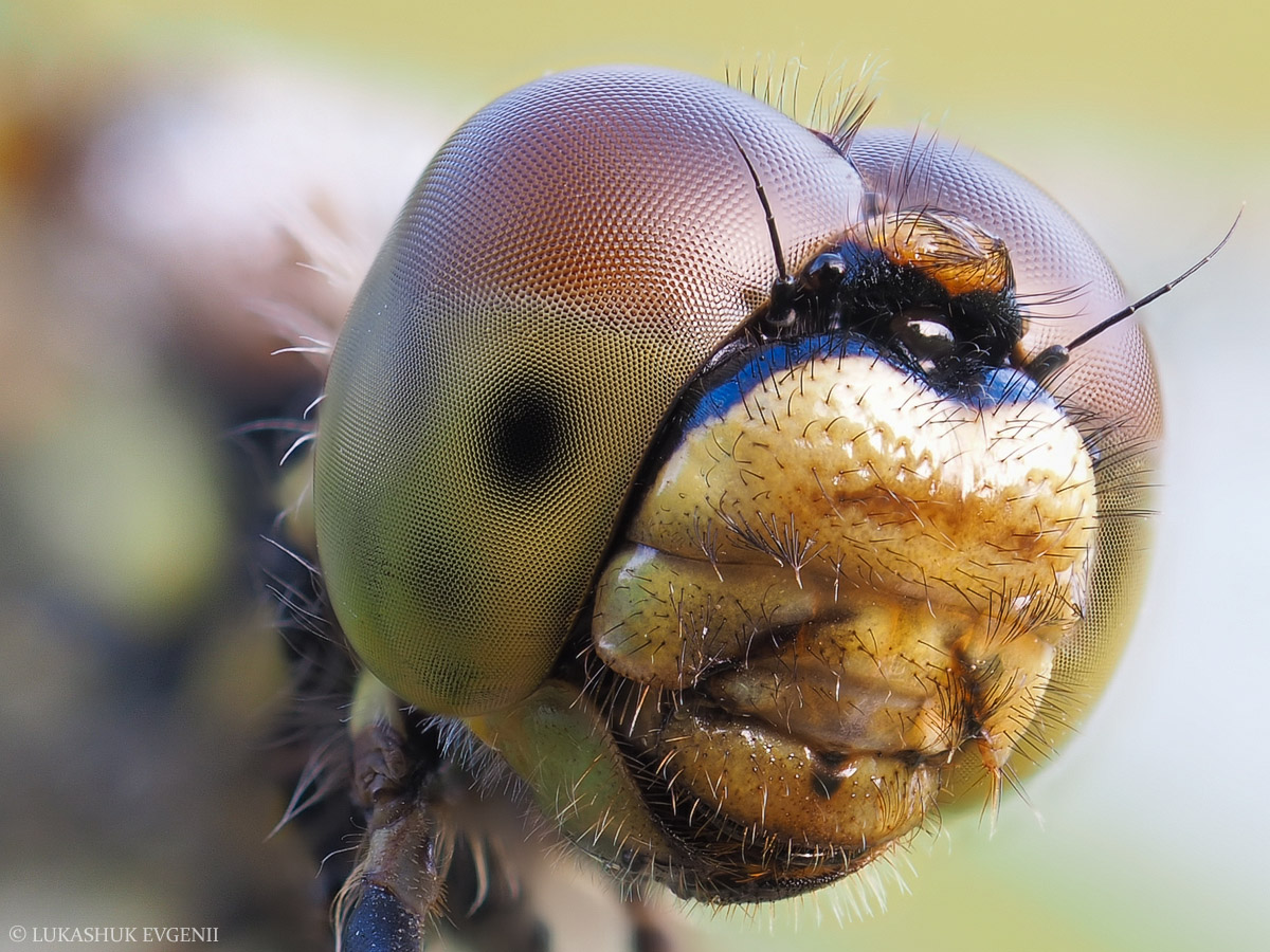 2021-09-04_12-42-13_M_A_R_8_S_3