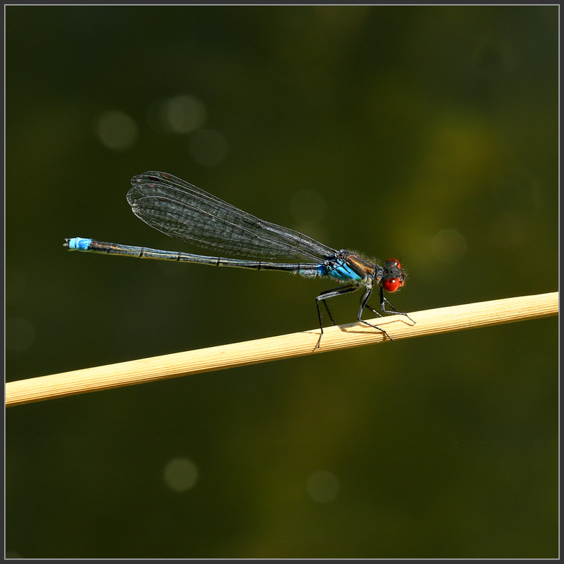 BU7A5773_2_Kopie