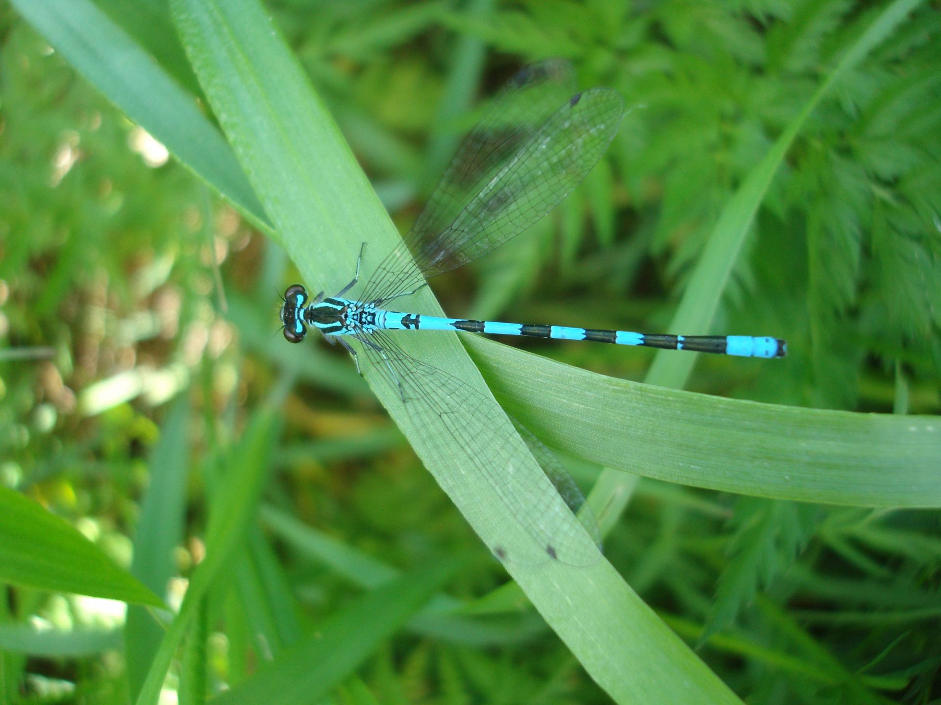 DSC08537_