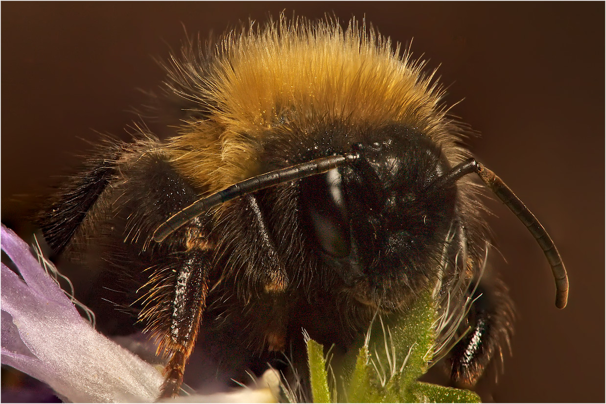 -1_13-07-09_3329-3334_1