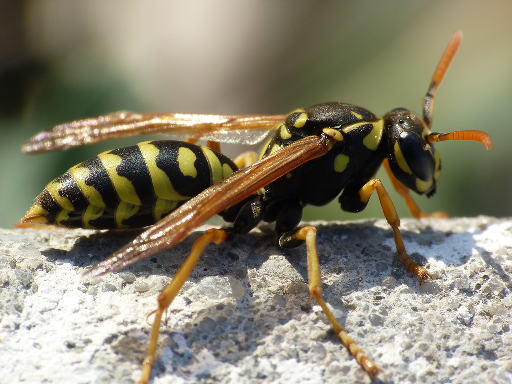 0_672f2_8b6b3ddf_XXL