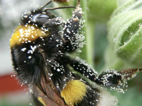 0_a8c8f_19712d33_L_1