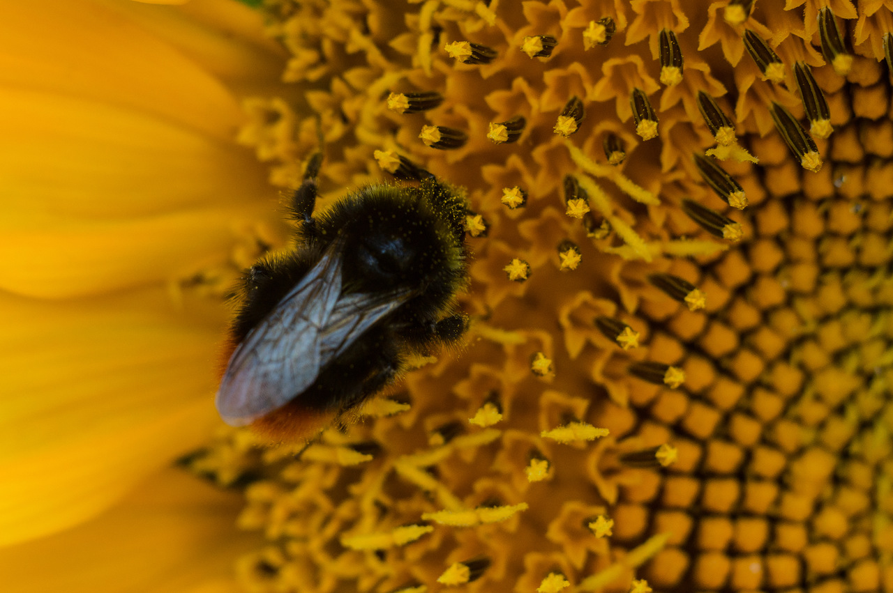 0_b38c4_f08564ec_XXXL