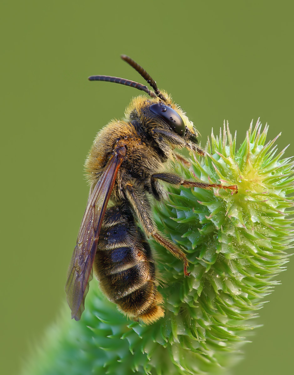 12-06-14_120719_M_A_R_8_S_4