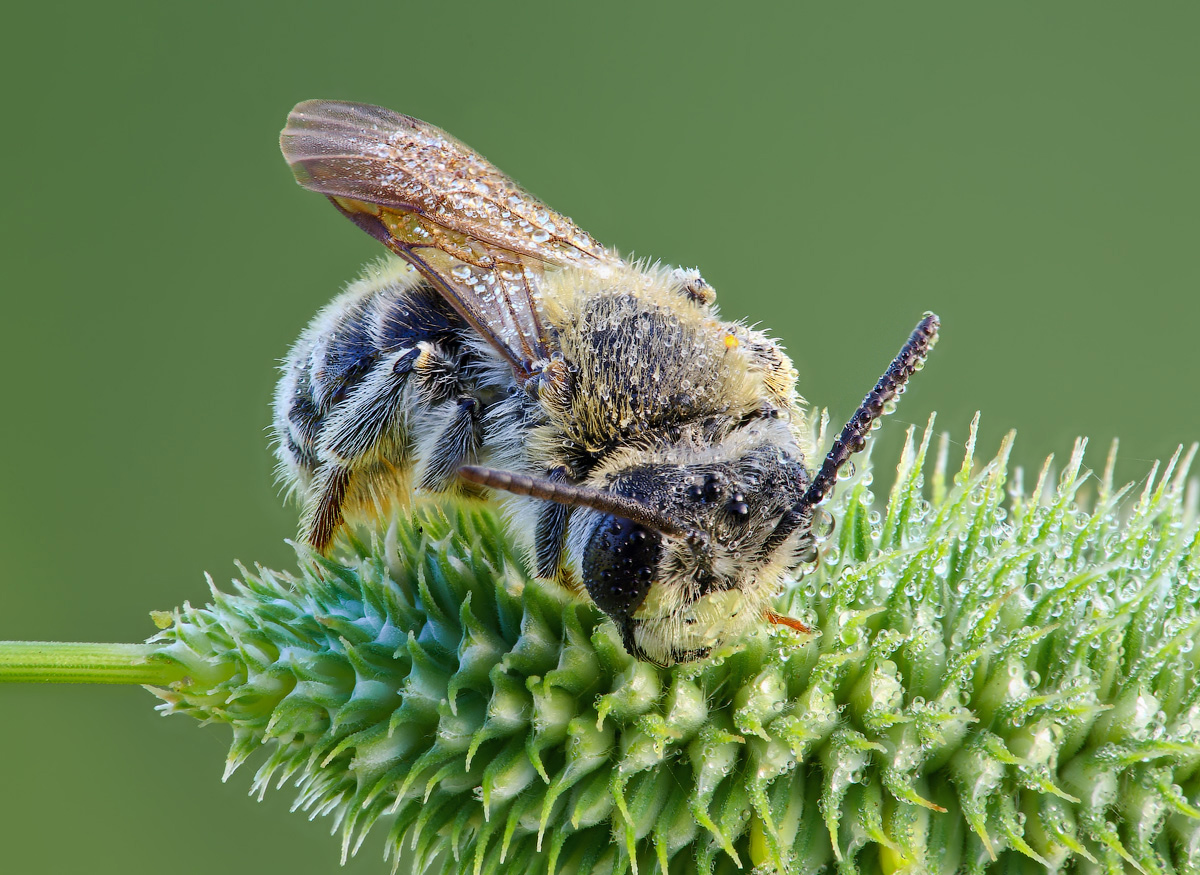 12-06-24_131332_M_A_R_8_S_4