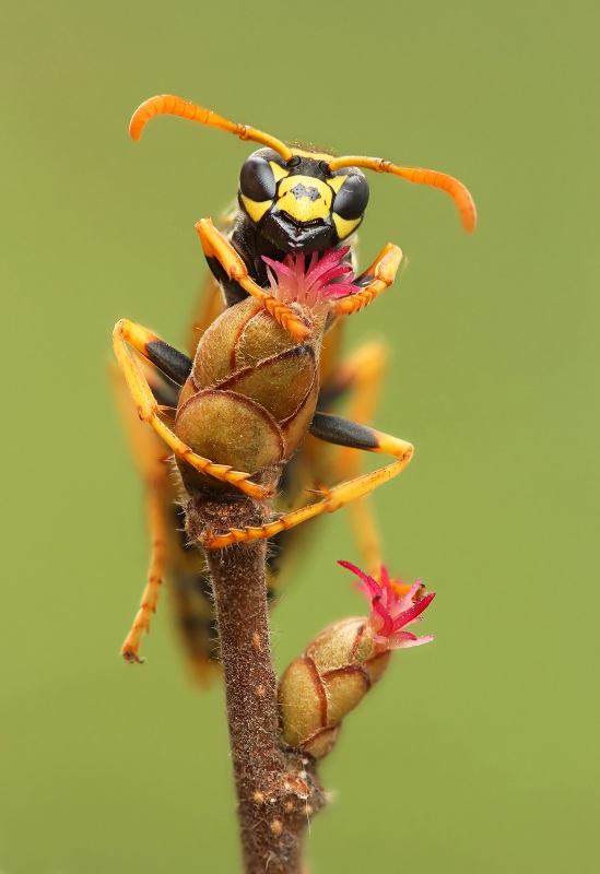 13-01-26_153622_M_A_R_8_S_5_-_