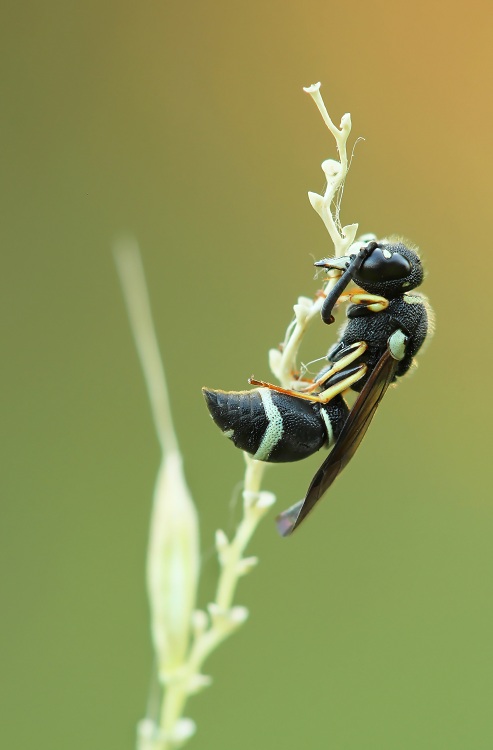 13-05-30_084905_M_A_R_8_S_7_-_